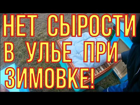 Видео: Зимовка пчёл на улице. Вентиляция ульев. Сетчатое или глухое дно.