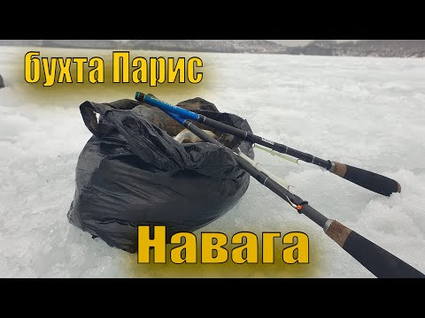 Видео: Просто огромное количество наваги . Подводные сьёмки и аэропрогулка по бухте Парис . остров Русский.