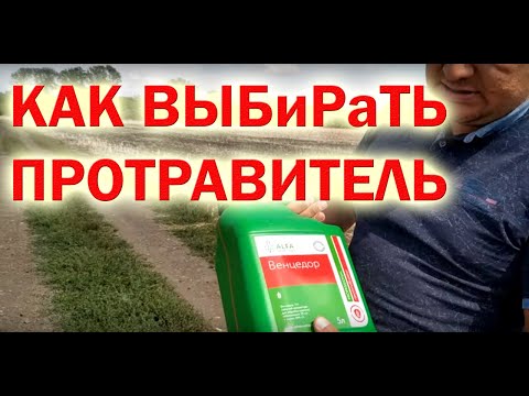 Видео: КАК ВЫБРАТЬ ПРОТРАВИТЕЛЬ СЕМЯН ПШЕНИЦЫ + СТИМУЛЯТОР РОСТА