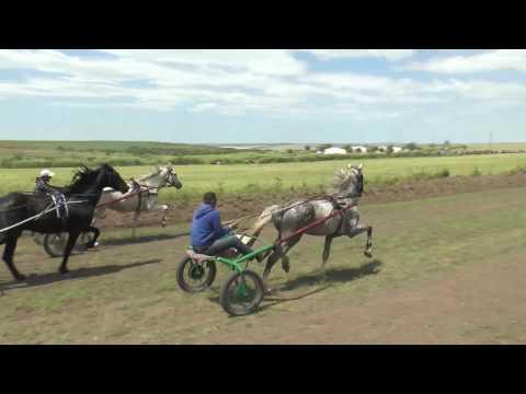 Видео: Бега в Чадыр-Лунге 2016 (Старший Возраст)