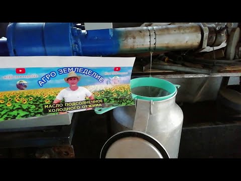 Видео: Масло сыродавленное холодного отжима. Цена живого масла.