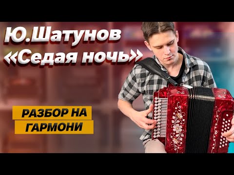 Видео: КАК НАДО ИГРАТЬ "СЕДУЮ НОЧЬ" НА ГАРМОНИ // Разбор от Влада Шумкина