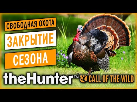 Видео: theHunter Call of the Wild #17 🦃 - Закрытие Летнего Сезона Стримов! - Свободная Охота