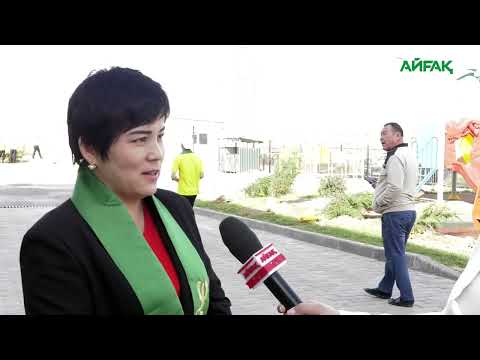 Видео: АРНАЙЫ РЕПОРТАЖ: МЕНІҢ АТАУЛЫ АҒАШЫМ