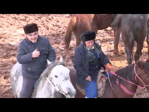 Видео: Бегасилов Серік Досыбайұлының елден бата алу КӨКПАРЫ