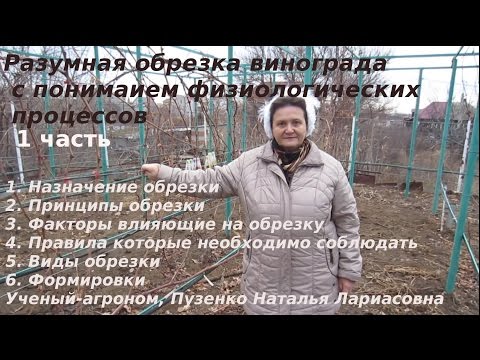 Видео: 1 фильм "Формировка винограда- методы, принципы, виды"