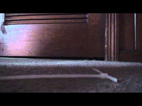 Видео: Запись #78