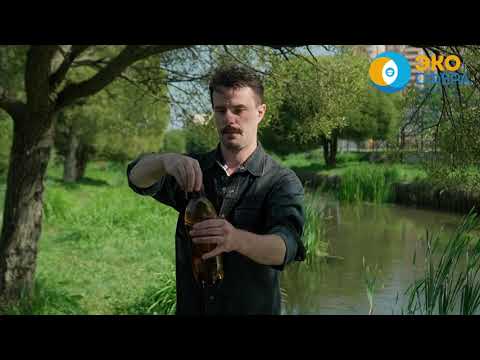 Видео: Пробоотбор: методы пробоотбора воды и почвы