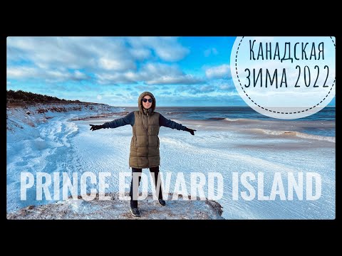 Видео: VLOG #168 / Новая работа  и три снежных шторма / Настоящая зима в Канаде / Январь 2022