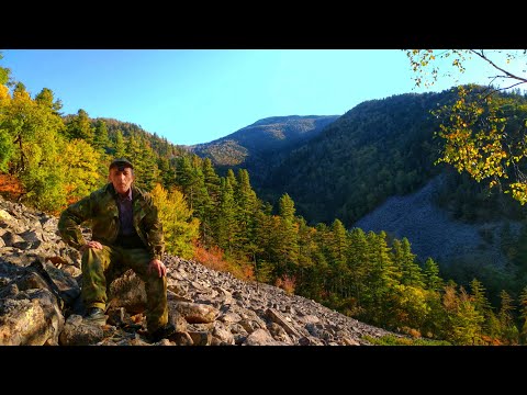 Видео: ТАЙГА БЕЗДОРОЖЬЕ ВЫЖИВАНИЕ. Алексеевские водопады. Приморская Уссурийская тайга.