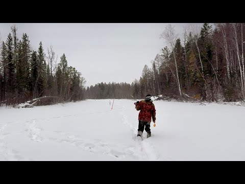 Видео: ПОЗНАЁМ ПОДВОДНЫЙ МИР. ПОИСК РЫБЫ НА ЧЁРТОВОМ ОЗЕРЕ.