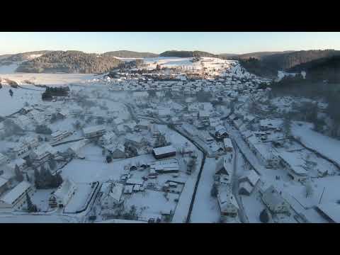 Видео: Утро туманное