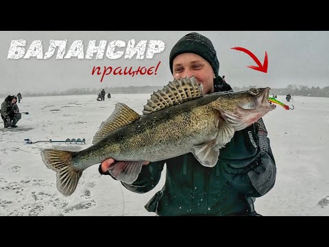 Видео: СУДАК НА БАЛАНСИР. Відкриття 2025 - затока Сосни