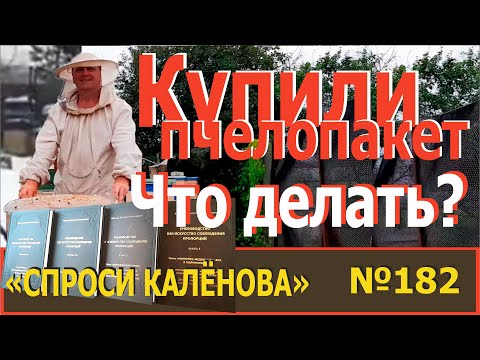 Видео: «Купили ПЧЕЛОПАКЕТ. Что делать?» — из программы «Спроси КАЛЁНОВА» — № 181.