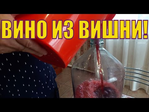 Видео: Домашнее вино из Вишни. Как его сделать? Самый простой способ!
