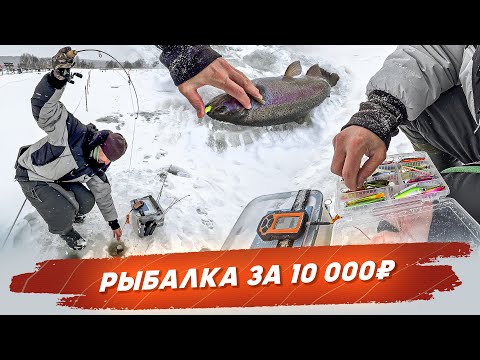 Видео: Рыбалка за 10000 рублей. Ловля форели. Рыбалка с #OnlySpin