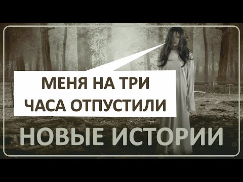 Видео: 035 Новые истории наших зрителей