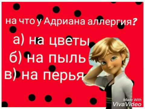 Видео: Как хорошо ты знаешь Ледибаг и Супер кота? Пройди тест!