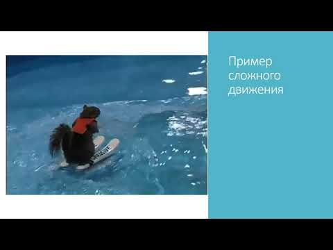 Видео: Сложное движение точки. Примеры. Авторы: Ермишин Степан, Ходунов Алексей, Хужаев Дмитрий