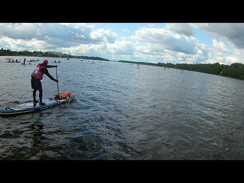 Видео: Петровский гребной марафон 2023