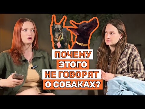 Видео: 10 вопросов к кинологу | Обсуждаем со специалистом самые частые вопросы о воспитании собак