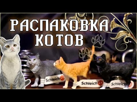 Видео: РАСПАКОВКА КОТОВ ШЛЯЙХ и не только