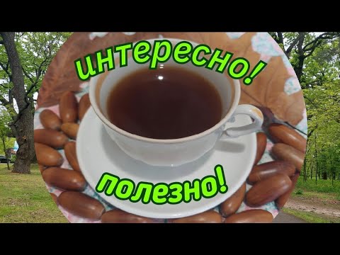 Видео: ДУБ и ЖЕЛУДИ - КОФЕ из желудей.