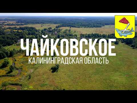 Видео: 4K. Чайковское. Правдинский район. Калининградская область