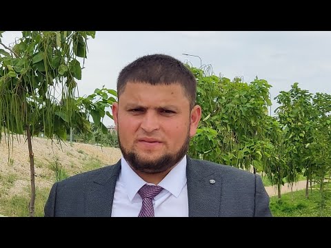Видео: Туй Облоëр дар шахри Волгоград