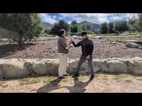 Видео: Мастер Ян Тайцзи: шёлковая намотка: защита от бросков, захватов и захватов с помощью древней техники