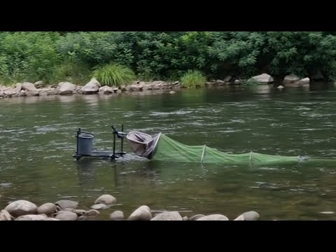 Видео: Риболов с директен телескоп на струмски скобари