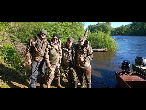 Видео: рыбалка на горной реке (июнь 2022г.)