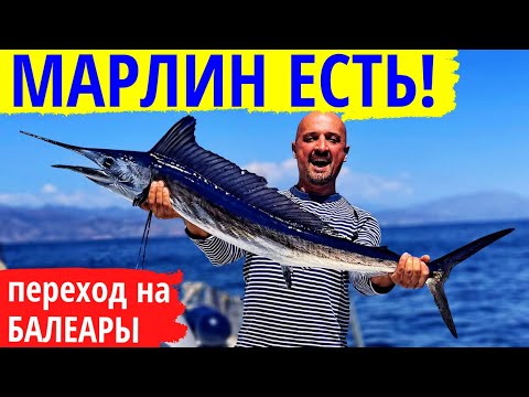 Видео: Переход на Балеары. Уловистый маршрут на яхте. Оказалось, марлин существует! | Яхтенные будни