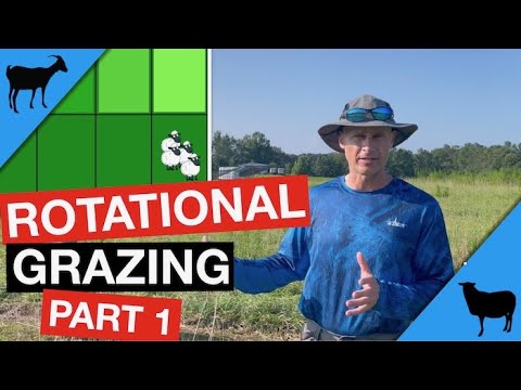 Видео: Ротационный выпас. Часть 1: Концепция и преимущества
