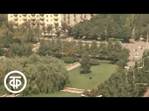 Видео: Шахтеры (1972)