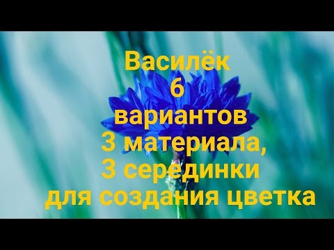 Видео: Василёк 6 вариантов 3 материала 3 серединки для создания цветка