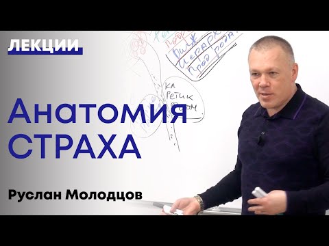 Видео: Как преодолеть страх и избавиться от тревоги. Подробный разбор.