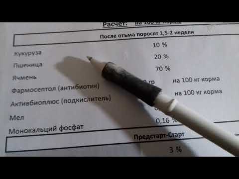 Видео: Рационы кормления свиней от начала до конца. Поросята, свиноматки , откорм.