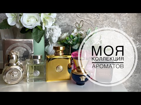 Видео: МОЯ КОЛЛЕКЦИЯ АРОМАТОВ Versace