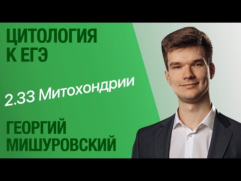 Видео: 2.33. Митохондрии | Цитология к ЕГЭ | Георгий Мишуровский