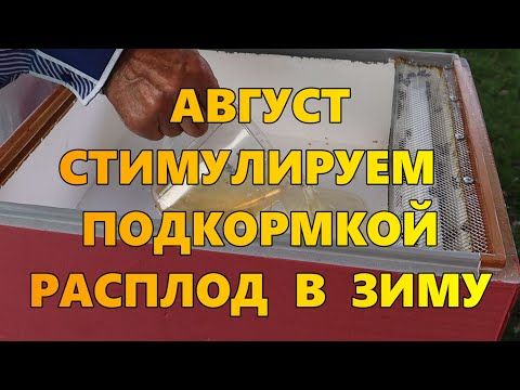 Видео: Очень удобная кормушка.