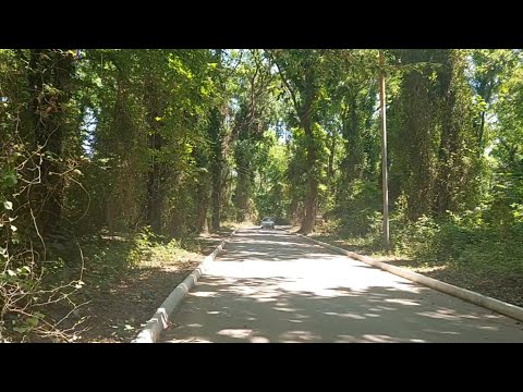 Видео: Дорога в Набрань. Отдых. Пляж.