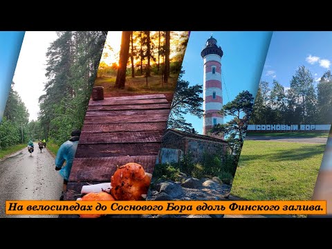 Видео: На велосипедах до Соснового Бора вдоль Финского залива. Тропа Южного берега