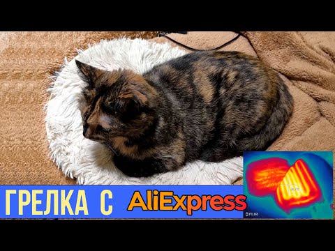 Видео: 😻 Кошка Довольна! Купили Электрогрелку на AliExpress | Детальный Обзор + Тест на тепловизор