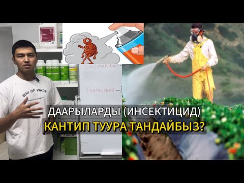 Видео: Инсектициддер зыянкечтерге кандайча таасир этет? Даарыны кантип туура тандайбыз?