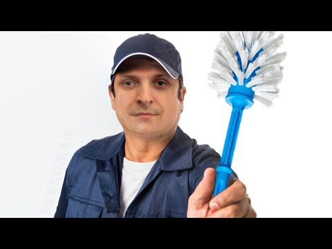 Видео: Шусс живёт с речным карпом