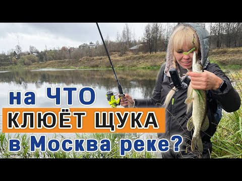 Видео: Осенняя рыбалка на щуку 2025