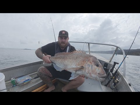 Видео: Ловля огромного люциана весом 21 фунт + живая наживка для королевской рыбы на Флэт-Рок, остров Ка...