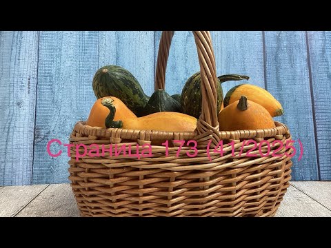 Видео: Вязальный дневничок. Страница 173 (41/2025).