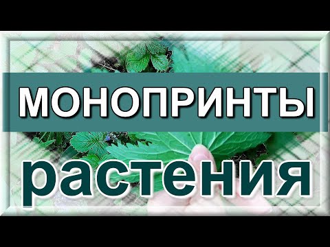 Видео: Монопринты на ткани. Процесс печати. Принты растений.